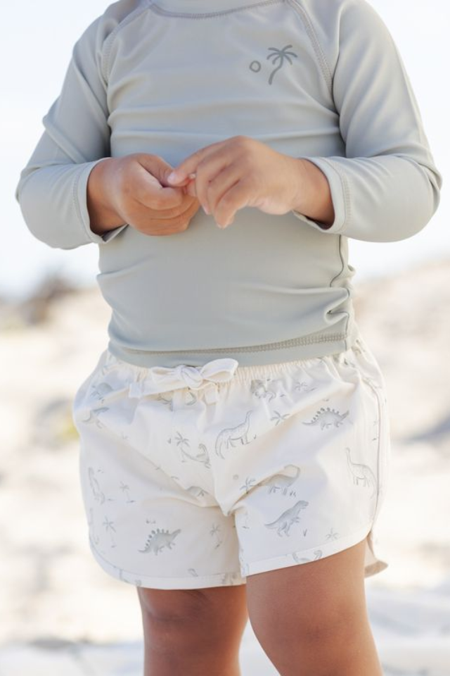 Quincy Mae Boys Swim Short - Dinosaur