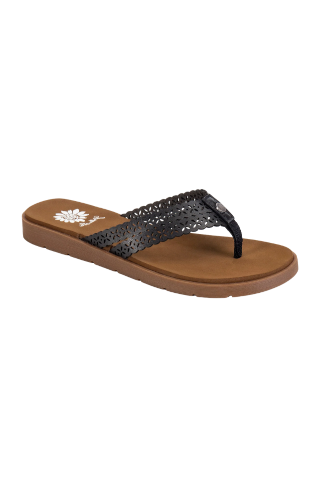 Yellow Box Fawn - Black