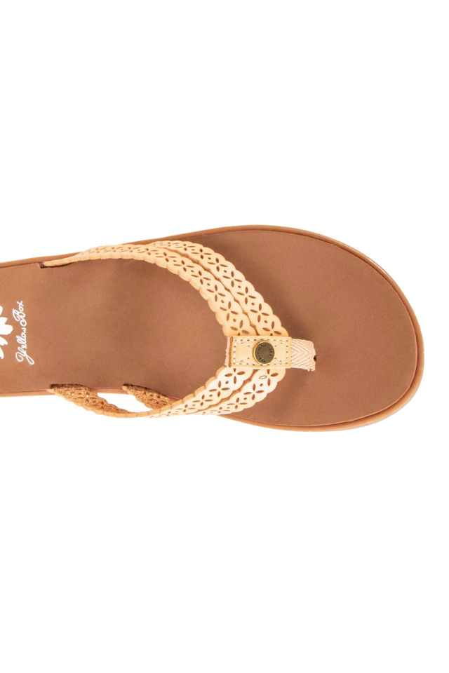 Yellow Box Fawn - Almond