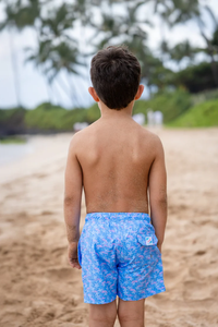 Bermies Lined Swim Trunks - Marlins