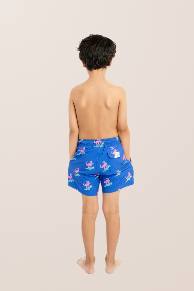 Bermies Classic Lined Swim Trunk - JURASSIC