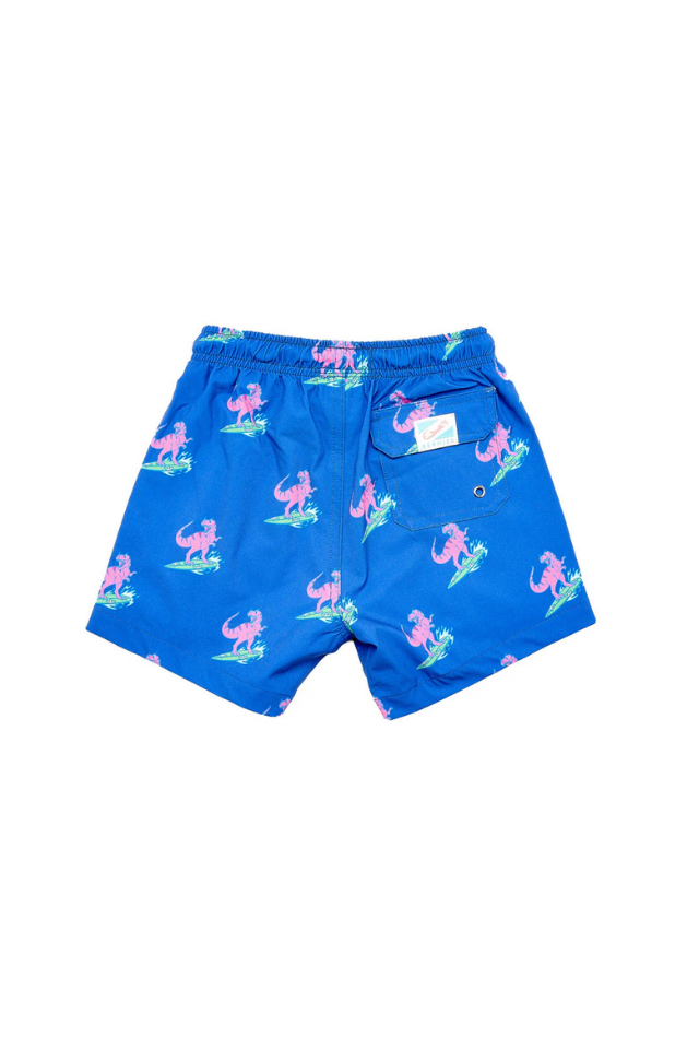 Bermies Classic Lined Swim Trunk - JURASSIC