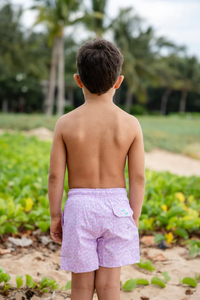 Bermies Lined Swim Trunks - Regatta