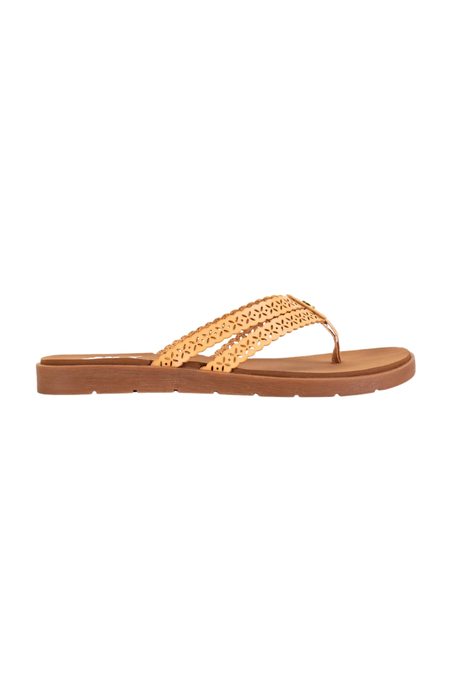 Yellow Box Fawn - Almond