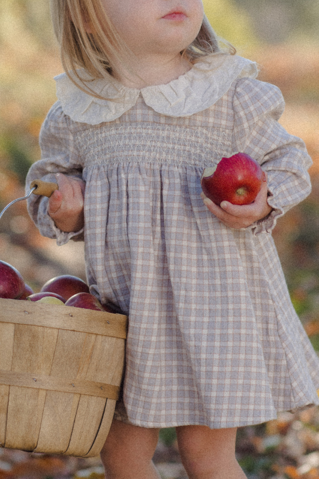 Quincy Mae Callie Dress - Blue Gingham