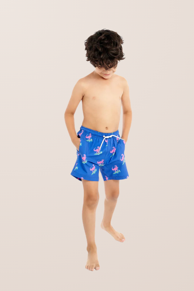 Bermies Classic Lined Swim Trunk - JURASSIC