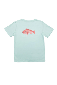 SWB Redfish Graphic Tee - Aqua