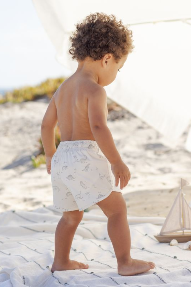 Quincy Mae Boys Swim Short - Dinosaur